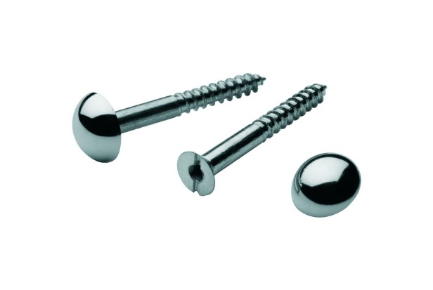 Mirror Screws